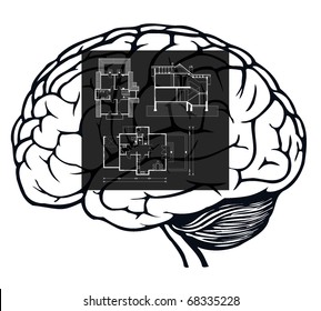 brain with blueprint in it for web design
