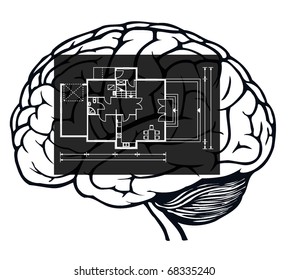 brain with blueprint in it for web design