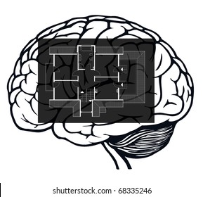 brain with blueprint in it for web design