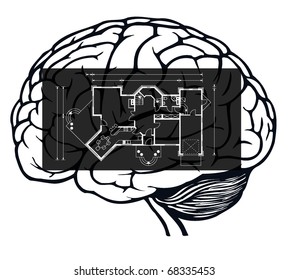 brain with blueprint in it for web design