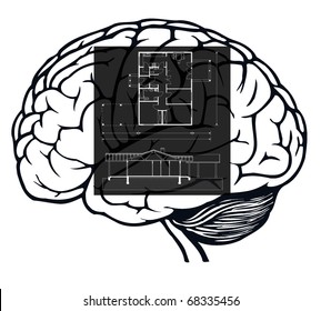 brain with blueprint in it for web design