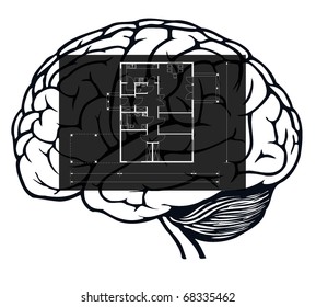 brain with blueprint in it for web design