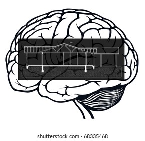 brain with blueprint in it for web design