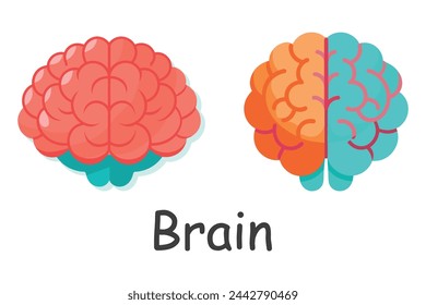 Brain, body parts of human isolated flat vector illustration on white background