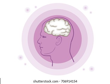 Brain - body parts / Vector illustration image of Memory and meditation