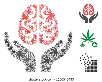 Brain care hands composition of cannabis leaves in variable sizes and color shades. Vector flat grass leaves are organized into brain care hands collage. Herbal vector design concept.