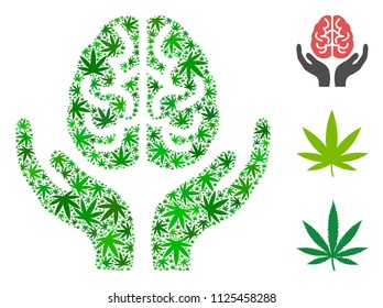 Brain care hands composition of weed leaves in different sizes and green variations. Vector flat hemp elements are grouped into brain care hands composition. Narcotic vector illustration.