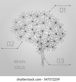 Brain cells connectome concept. Stock vector illustration of neurons forming a complex map for mind and thinking. Medicine and biology collection