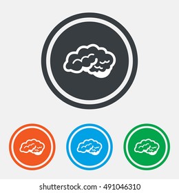Brain with cerebellum sign icon. Human intelligent smart mind. Graphic design web element. Flat neurology symbol on the round button. Vector