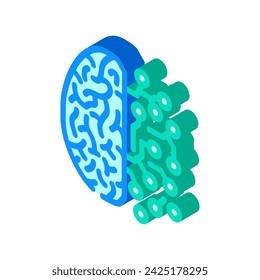 brain circuitry neuroscience neurology isometric icon vector. brain circuitry neuroscience neurology sign. isolated symbol illustration