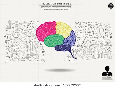 
Brain Colorful - Background Plan Business - modern Idea and Concept Vector illustration Business  with  icon.