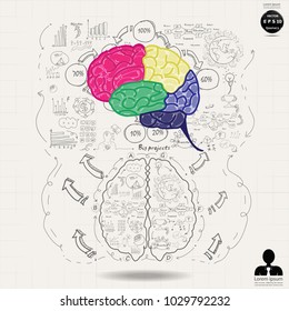 
Brain Colorful - Background Plan Business - modern Idea and Concept Vector illustration Business  with  icon.