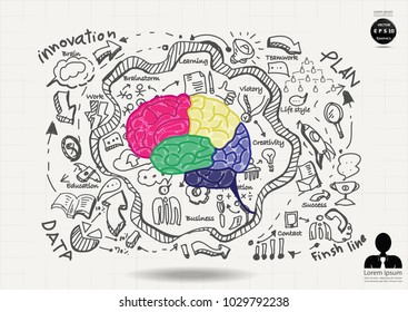 
Brain Colorful - Background Plan Business - modern Idea and Concept Vector illustration Business  with  icon.