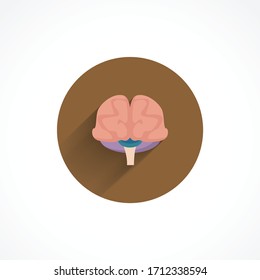 brain colorful flat icon with long shadow