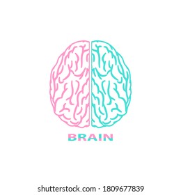 Brain colorful icon. Brain vector with pink and blue colors isolated on white