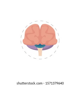 brain colorful vector flat icon. brain colorful vector flat icon. brain colorful vector flat icon. 