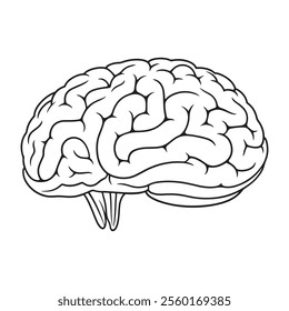 Brain coloring page vector illustration line art design