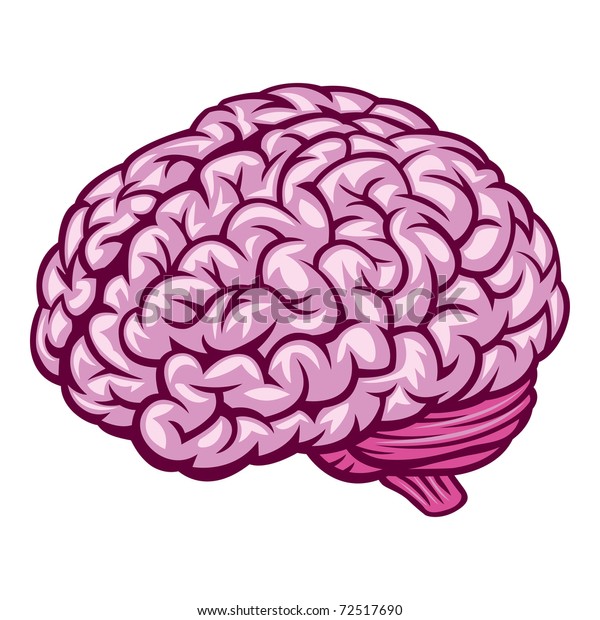 Cerveau Dessin De Illustration Vectorielle Image Vectorielle De Stock Libre De Droits