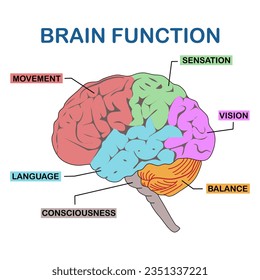 The brain is a complex organ that controls thought, memory, emotion, touch, motor skills, vision, breathing, temperature, hunger and every process that regulates our body.