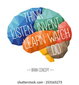 Brain concept, education concept