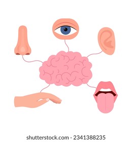 Brain connection with five human senses, hearing, vision, smell, taste, touch. Signal between brain and ear, eye, nose, mouth with tongue, hand. Human sense organs set. Vector illustration