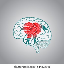 Brain with convolutions associated to the knot, the concept of the recovery of the brain, memory, stroke