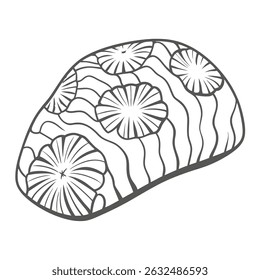 Brain Coral Line Art Illustration, Vector Graphic