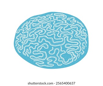 Brain coral, tropical reef fauna, organic natura shape. Exotic marine organism. Undersea polyp colony with hard tentacles. Underwater structure. Flat vector illustration isolated on white background