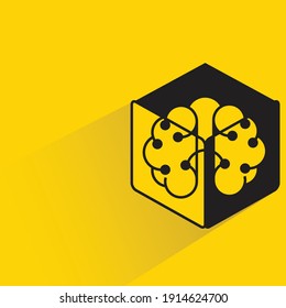 brain in cube with drop shadow yellow background