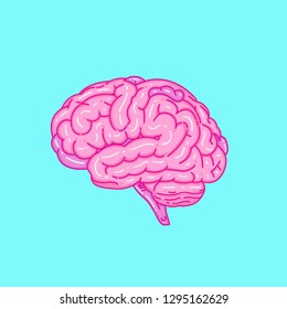 brain cut bright color background vector illustration, vintage style 