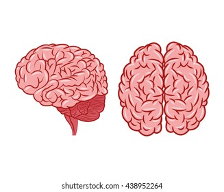 Brain design. organ icon. Flat illustration, vector graphic