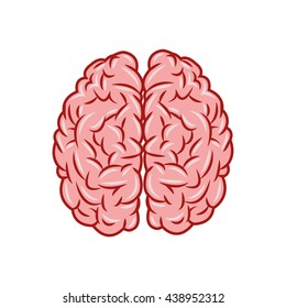 Brain design. organ icon. Flat illustration, vector graphic