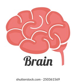 Brain design over white background, vector illustration.