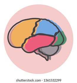 The brain is divided into colored areas. Vector illustration.