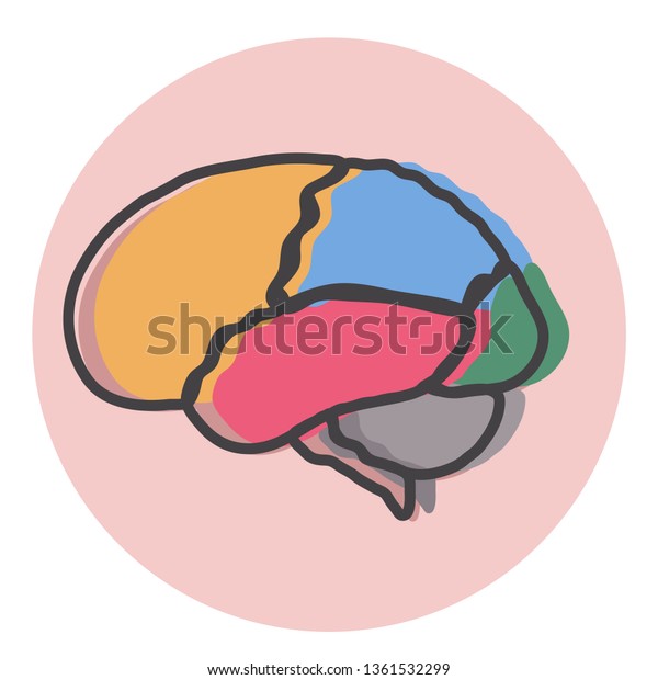 The brain is divided into colored areas.\
Vector illustration.