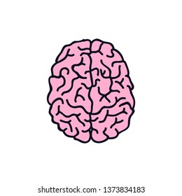 brain doodle icon