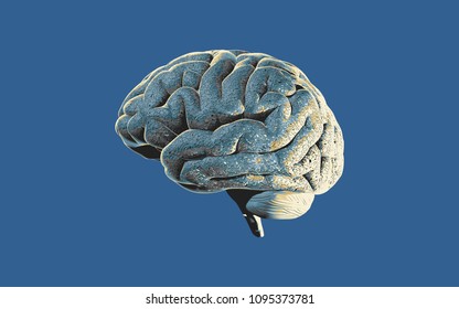 Brain drawing with color lighting and texture shading illustration isolated on blue colortone background