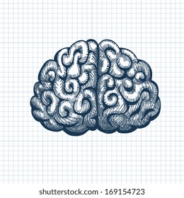 Brain Drawing Tools Doodle Sketch Style. Sketch Ink. Human Brain Hand Drawn. Vector Illustration