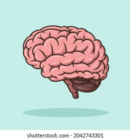 Brain Education Object concept Cartoon Icon Vector
