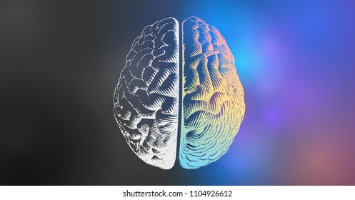 Brain engraving drawing illustration in top view with left and right functions concept on colorful and black space background