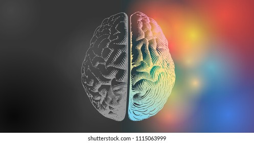 Brain engraving drawing illustration in top view with left and right functions concept on colorful and black space background