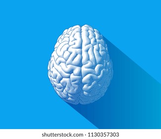 Brain engraving drawing top view isolated on blue background in striped line style with long shadow illustration