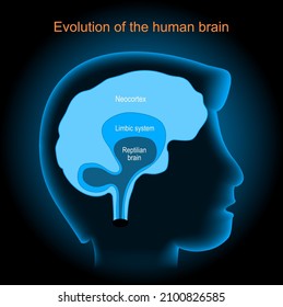 Brain evolution. Neocortex, Reptilian brain, and Limbic system. Human's head with brain on dark background. Vector poster