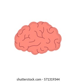 Brain Flat Icon