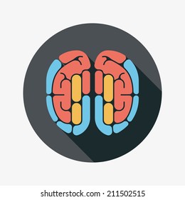 brain flat icon with long shadow