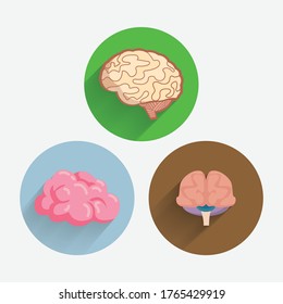 brain flat icon set with long shadow. human brain