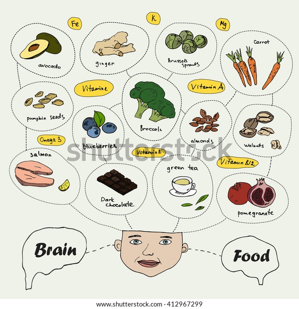 Brain Foodhand Drawn Foods Brain Power Stock Vector (Royalty Free) 412967299 | Shutterstock