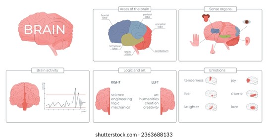 Brain function infographic set with emotions and activity symbols flat vector illustration