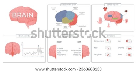 Brain function infographic set with emotions and activity symbols flat vector illustration