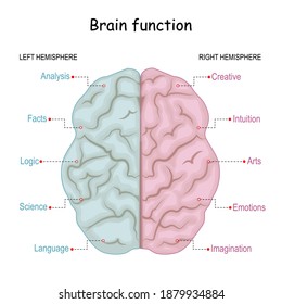 Función cerebral. analítico izquierdo y creativo derecho de hemisferios cerebrales. Parte creativa y parte lógica del cerebro humano